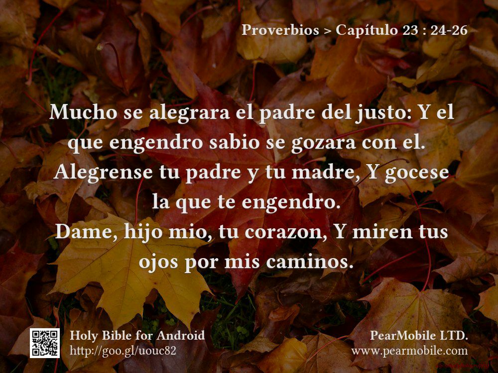 Proverbios, Capítulo 23:24-26